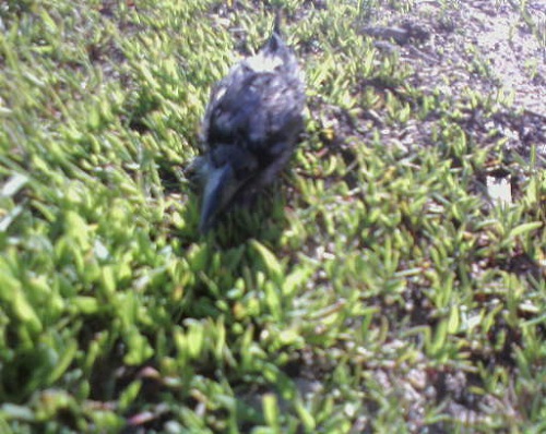 500 words. No more, no less.